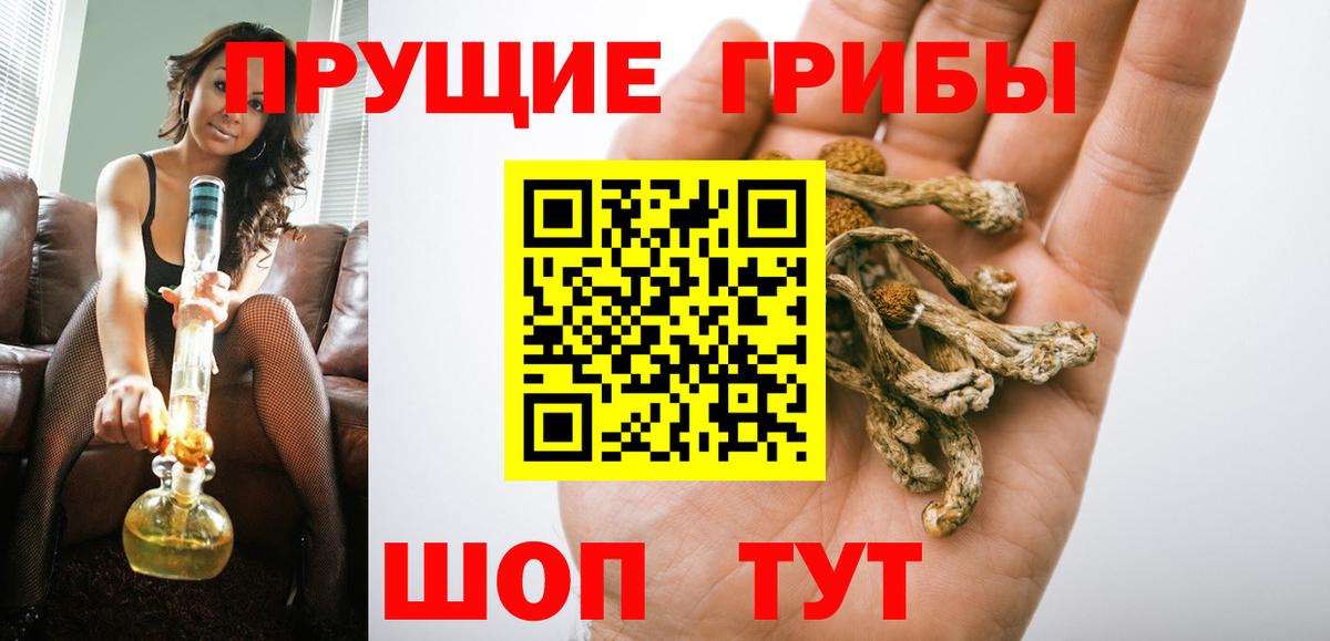 Галлюциногенные грибы Psilocybine cubensis Скопин