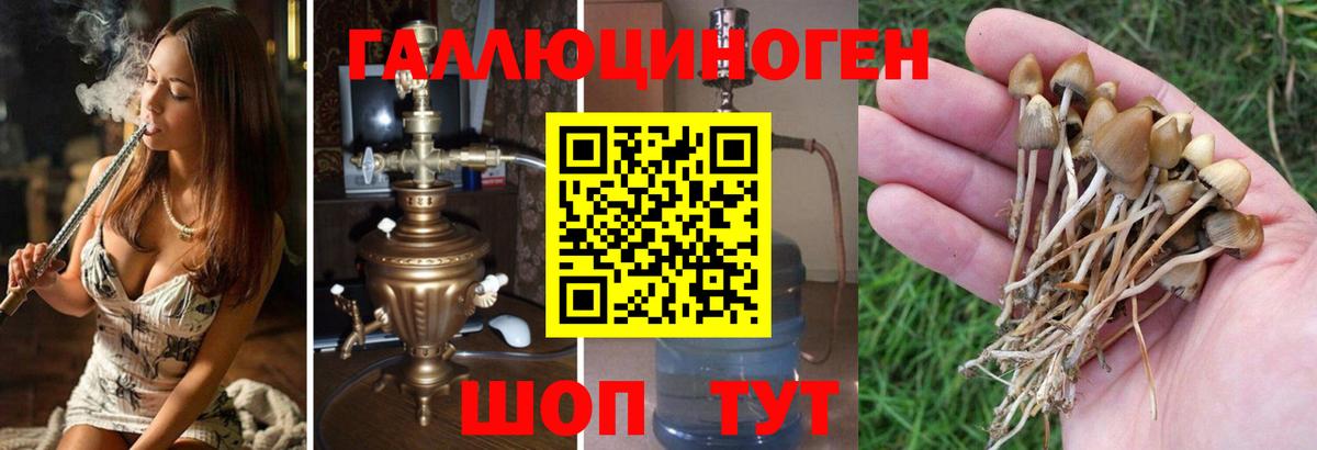 Скопин  Псилоцибиновые грибы Cubensis  Вход с VPN  Галлюциногенные грибы Cubensis 